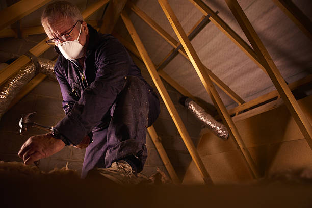 Best Specialty Insulation in Steger, IL