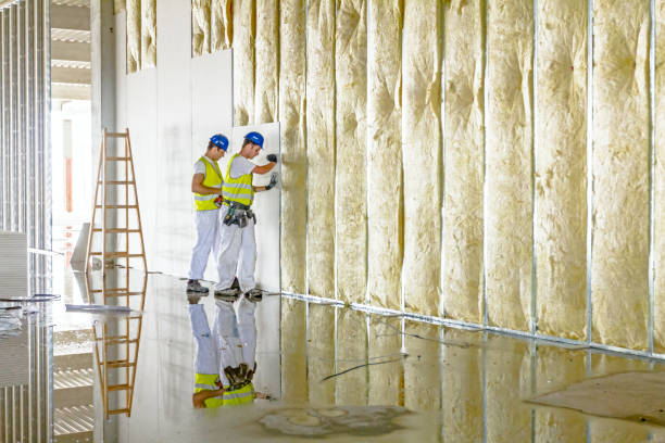  Steger, IL Insulation Contractor Pros